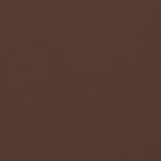 Picture of Johnsonite - Solid Colors Leather Cinnamon