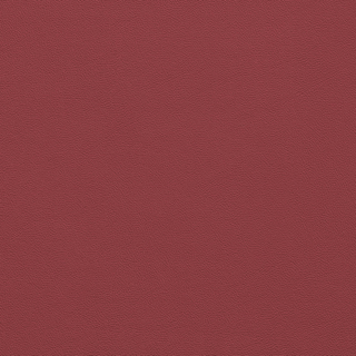 Picture of Johnsonite - Solid Colors Leather Flame