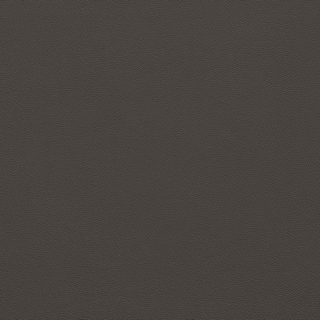Picture of Johnsonite - Solid Colors Leather Fudge