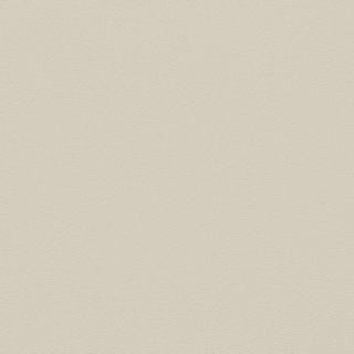 Picture of Johnsonite - Solid Colors Leather Grey Haze