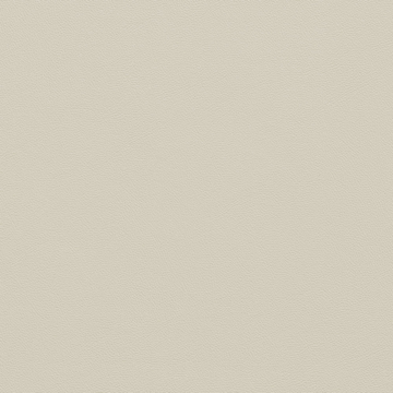 Picture of Johnsonite - Solid Colors Leather Grey Haze