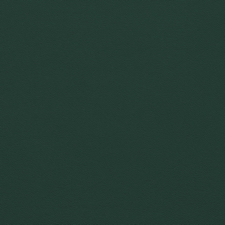 Picture of Johnsonite - Solid Colors Leather Hunter Green