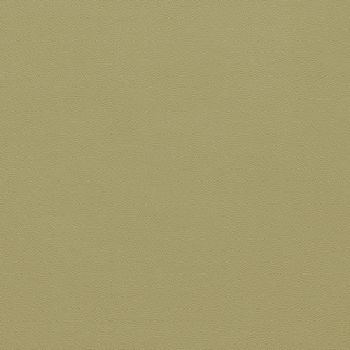 Picture of Johnsonite - Solid Colors Leather Iguana