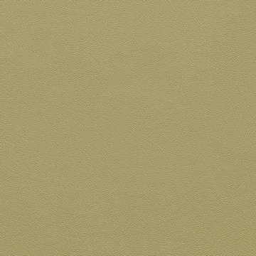 Picture of Johnsonite - Solid Colors Leather Iguana