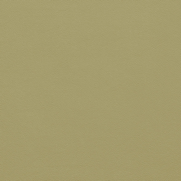 Picture of Johnsonite - Solid Colors Leather Iguana
