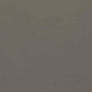 Picture of Johnsonite - Solid Colors Leather Moon Rock