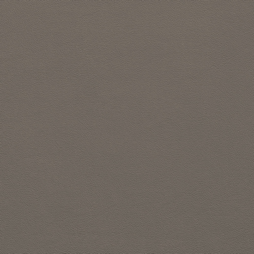 Picture of Johnsonite - Solid Colors Leather Moon Rock