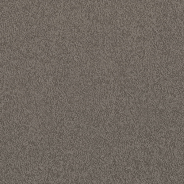 Picture of Johnsonite - Solid Colors Leather Moon Rock