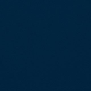 Picture of Johnsonite - Solid Colors Leather Navy Blue