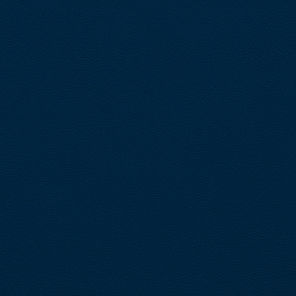 Picture of Johnsonite - Solid Colors Leather Navy Blue