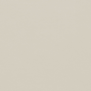 Picture of Johnsonite - Solid Colors Leather Pearl