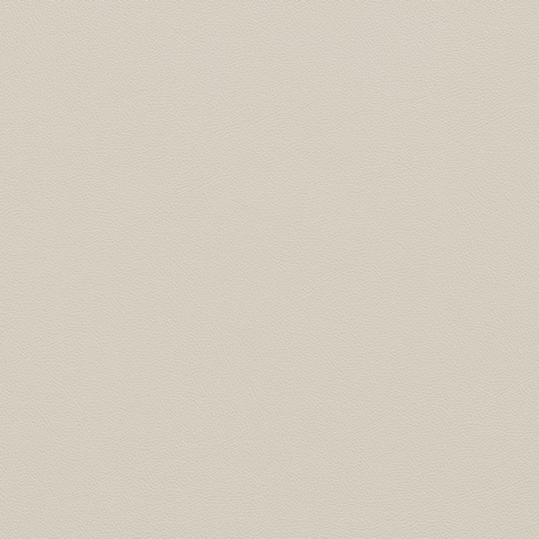 Picture of Johnsonite - Solid Colors Leather Pearl