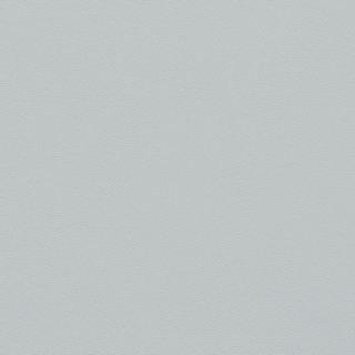 Picture of Johnsonite - Solid Colors Leather Platinum