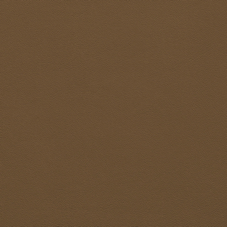 Picture of Johnsonite - Solid Colors Leather Seaweed