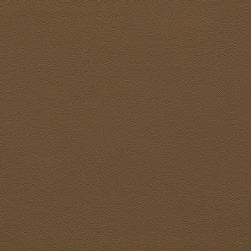 Picture of Johnsonite - Solid Colors Leather Seaweed