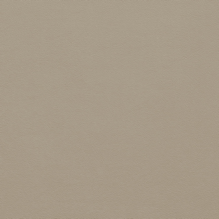 Picture of Johnsonite - Solid Colors Leather Shoreline