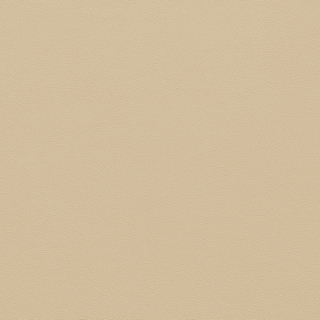 Picture of Johnsonite - Solid Colors Leather Silk