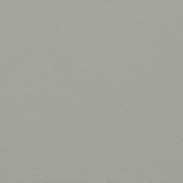 Picture of Johnsonite - Solid Colors Leather Silver Grey