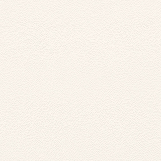 Picture of Johnsonite - Solid Colors Leather Snow White