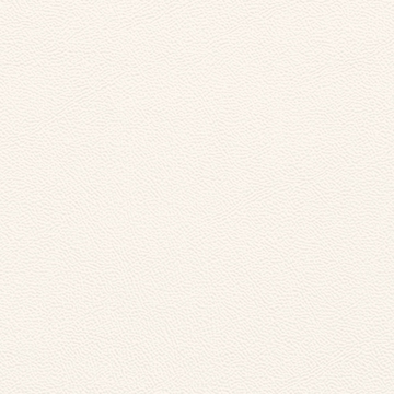 Picture of Johnsonite - Solid Colors Leather Snow White