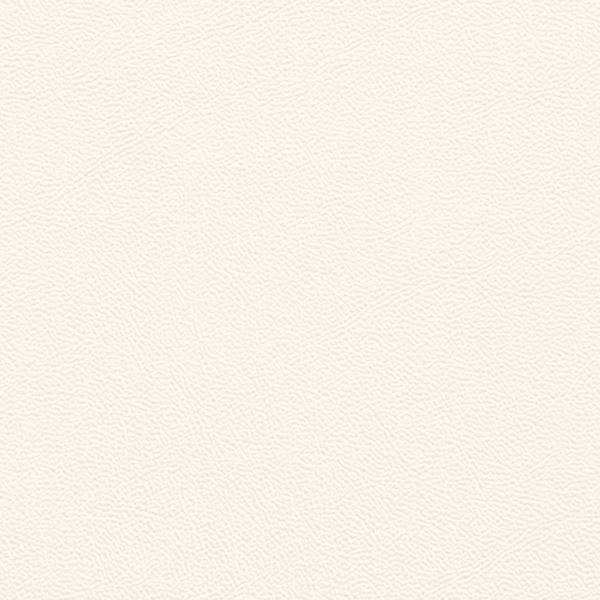 Picture of Johnsonite - Solid Colors Leather Snow White