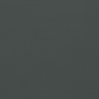 Picture of Johnsonite - Solid Colors Leather Thunder