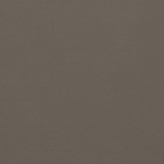 Picture of Johnsonite - Solid Colors Leather Toast