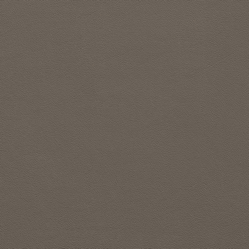 Picture of Johnsonite - Solid Colors Leather Toast