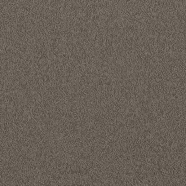 Picture of Johnsonite - Solid Colors Leather Toast