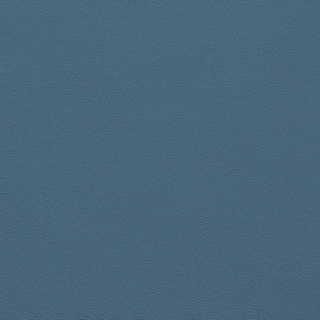 Picture of Johnsonite - Solid Colors Leather Windsor Blue