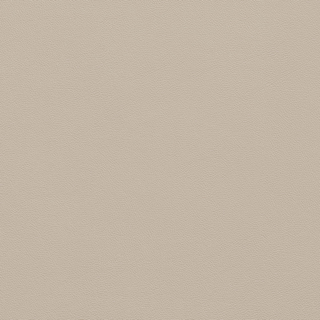 Picture of Johnsonite - Solid Colors Leather Zephyr