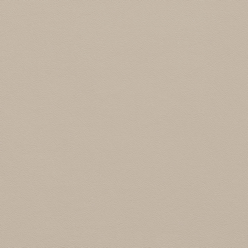 Picture of Johnsonite - Solid Colors Leather Zephyr