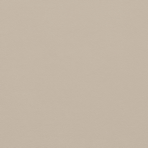 Picture of Johnsonite - Solid Colors Leather Zephyr