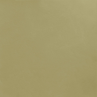 Picture of Johnsonite - Solid Colors Rice Paper Iguana