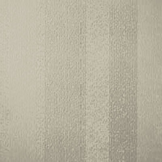 Picture of Johnsonite - Circulinity Fast Lane Clay