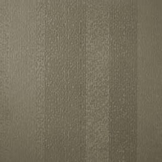 Picture of Johnsonite - Circulinity Fast Lane Grizzly