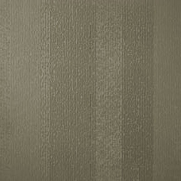 Picture of Johnsonite - Circulinity Fast Lane Grizzly