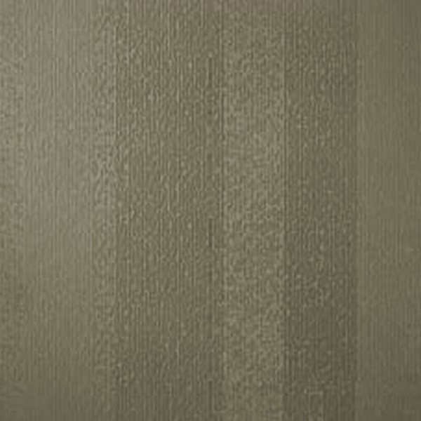 Picture of Johnsonite - Circulinity Fast Lane Grizzly