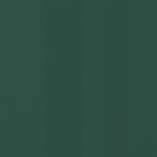 Picture of Johnsonite - Circulinity Fast Lane Hunter Green