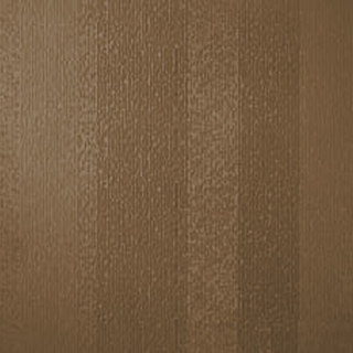 Picture of Johnsonite - Circulinity Fast Lane Sandalwood