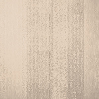 Picture of Johnsonite - Circulinity Fast Lane Silk