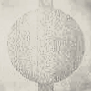 Picture of Johnsonite - Circulinity Round-A-Bout Almond