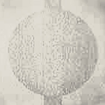 Picture of Johnsonite - Circulinity Round-A-Bout Almond