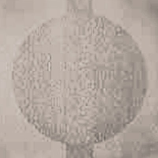 Picture of Johnsonite - Circulinity Round-A-Bout Beige