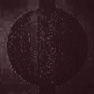 Picture of Johnsonite - Circulinity Round-A-Bout Burgundy