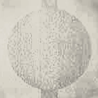 Picture of Johnsonite - Circulinity Round-A-Bout Canvas