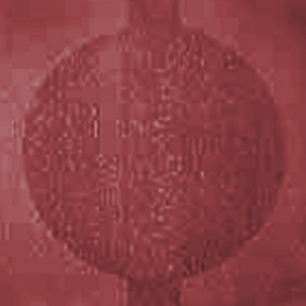 Picture of Johnsonite - Circulinity Round-A-Bout Flame