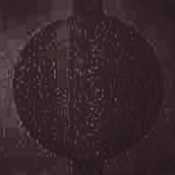 Picture of Johnsonite - Circulinity Round-A-Bout Ganache