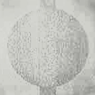 Picture of Johnsonite - Circulinity Round-A-Bout Grey Haze