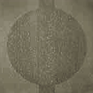 Picture of Johnsonite - Circulinity Round-A-Bout Grizzly
